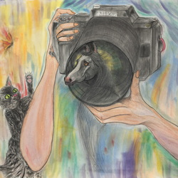 Fotografie